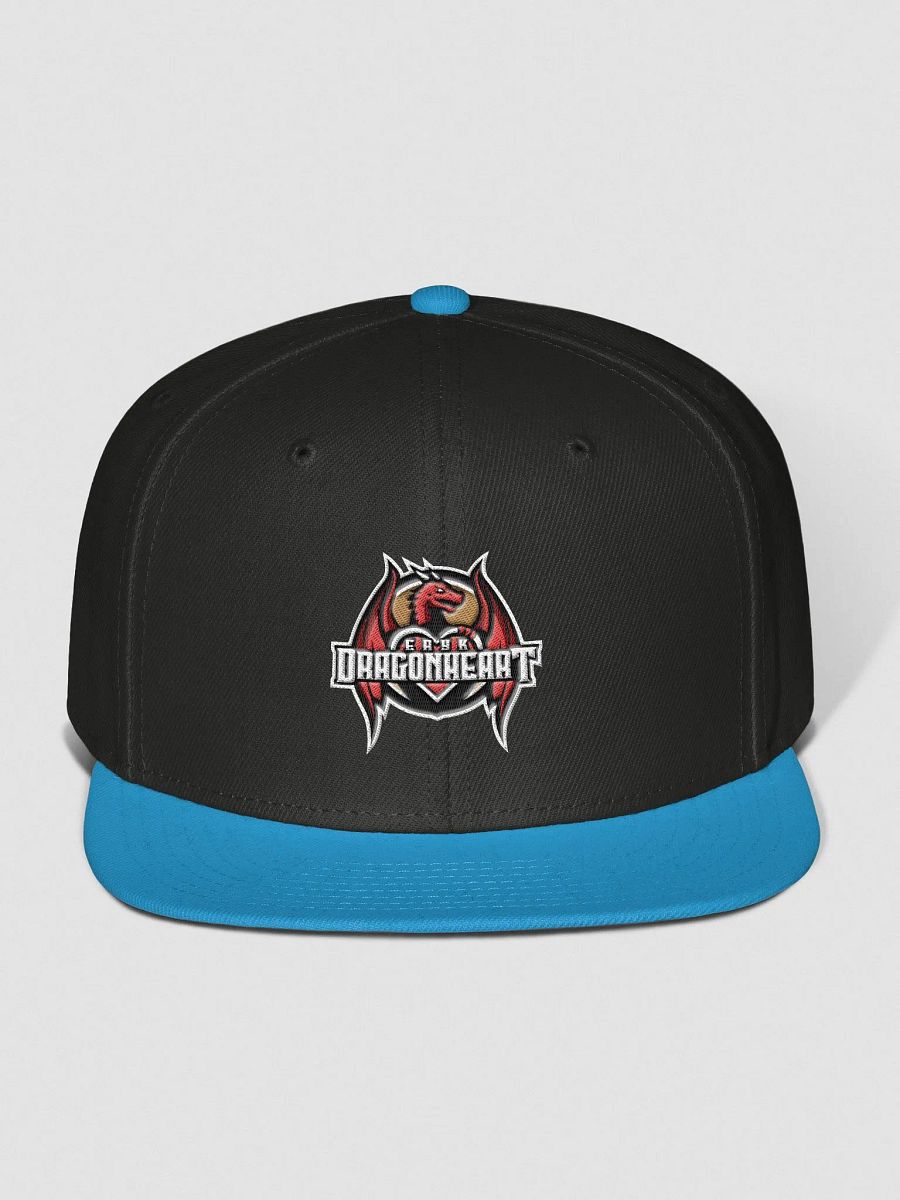 Embroidered Dragonheart Cap Otto Wool Blend Snapback product image (1)