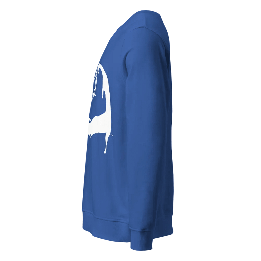 BOURNE to Cape Cod™ | DTG Vintage Print | Cozy Classic White Logo Sweatshirt – Cape Vibes, All Day, Every Day product image (3)