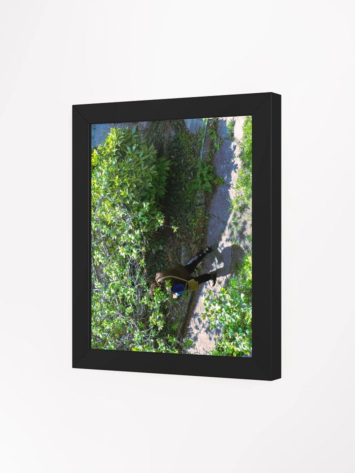 Enchanted Pathway Framed Matte Poster product image (65)