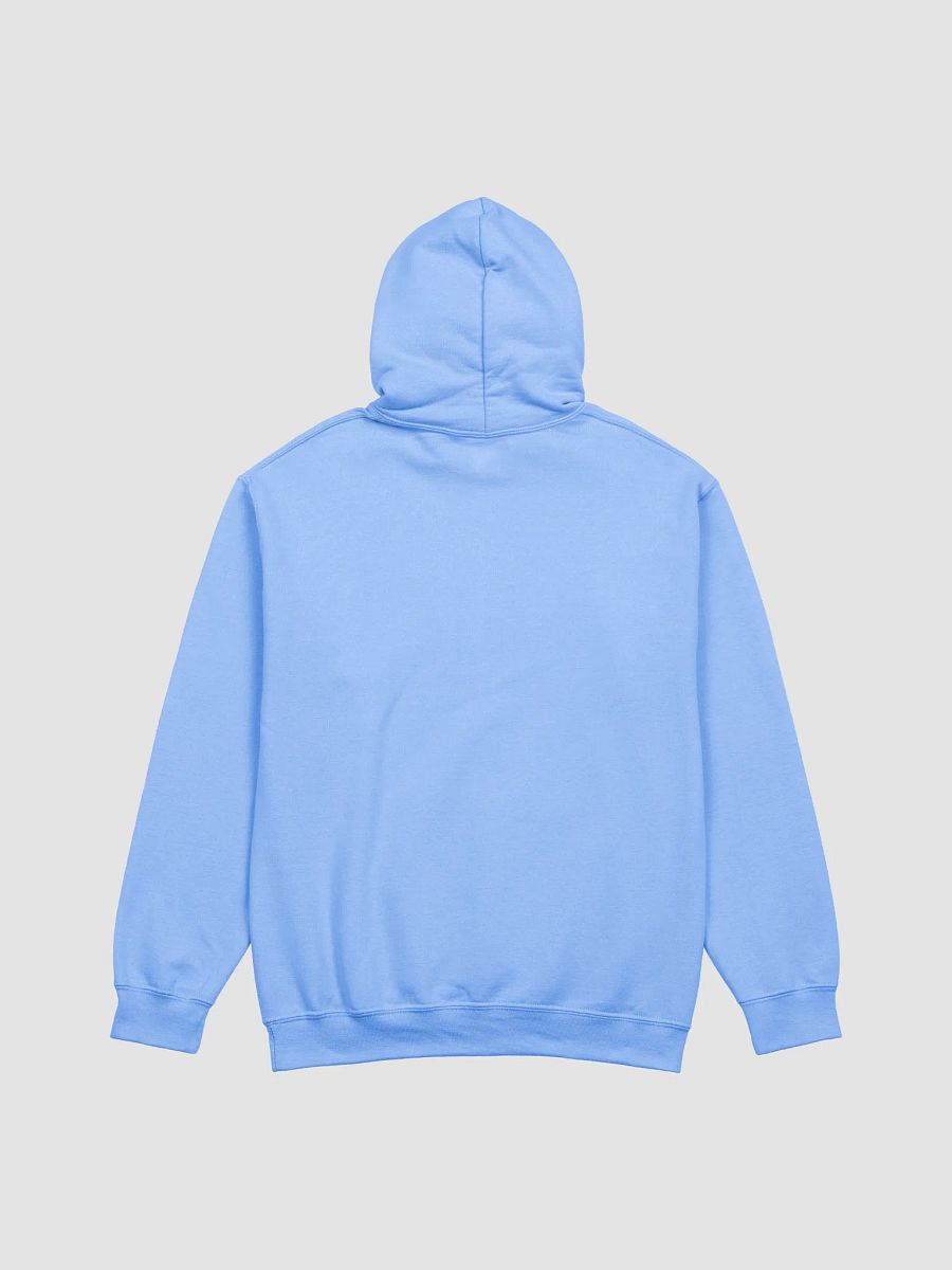 Paint the World Rainbow 2025 - Hoodie product image (40)