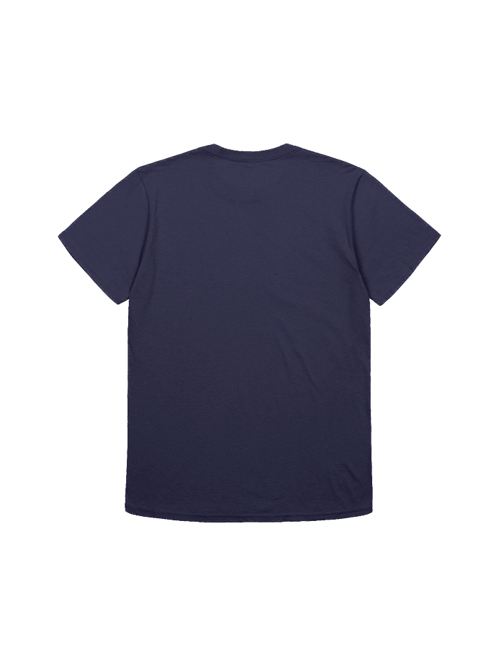 Unity in Diversity Flag Sphere T-Shirt product image (11)