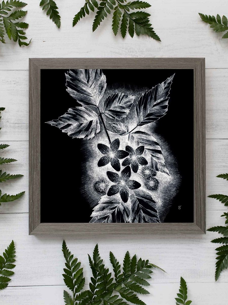 Blank Canvas Collection - JDark asmine product image (59)