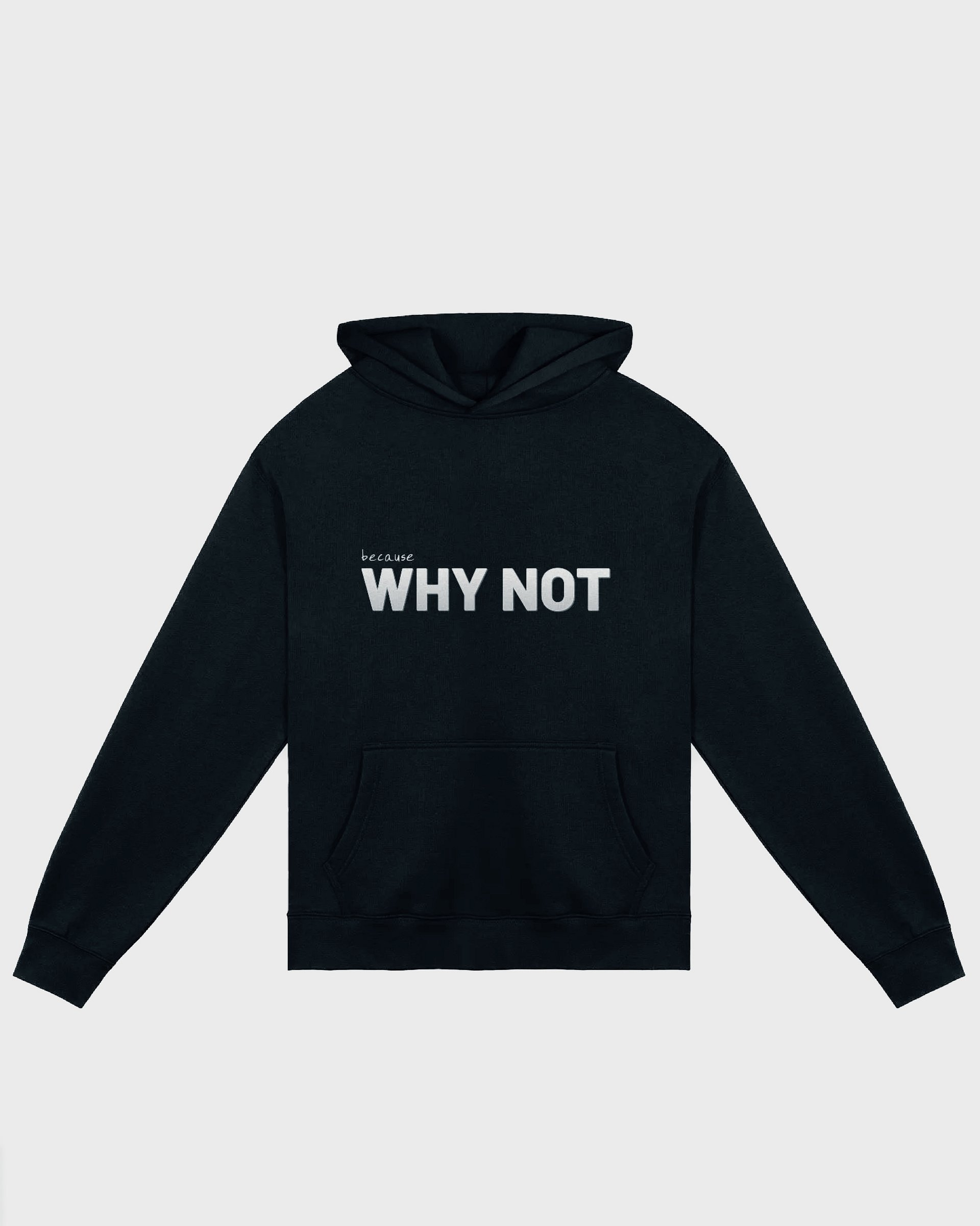 WHY NOT Hoodie product image (4)