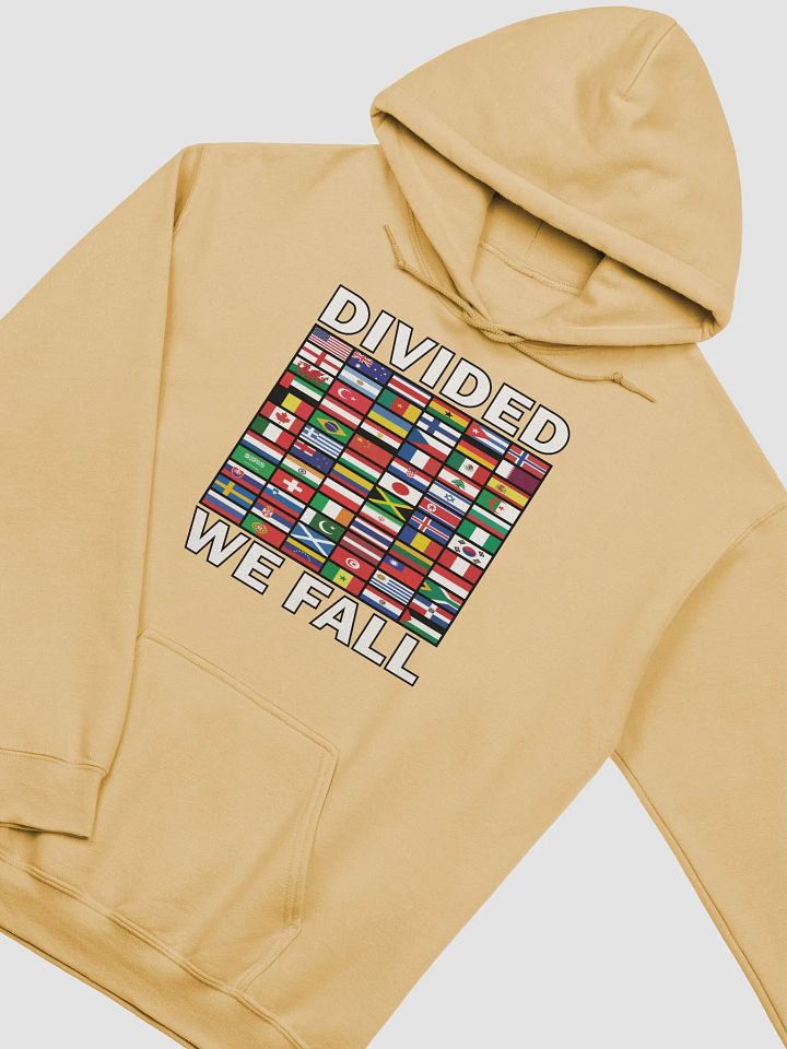 Divided We Fall - Nations - Gildan Classic Hoodie product image (2)