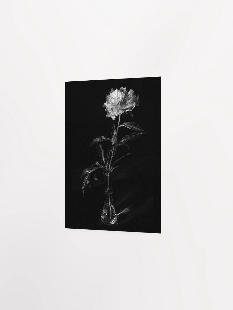 Peony in the Dark - Print product image (3)