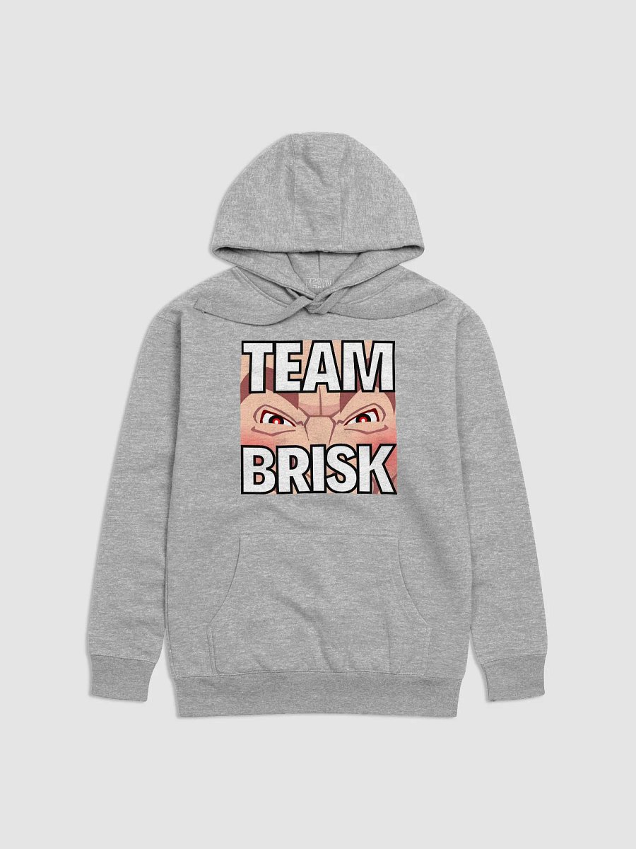 Team Brisk Hoodie product image (13)