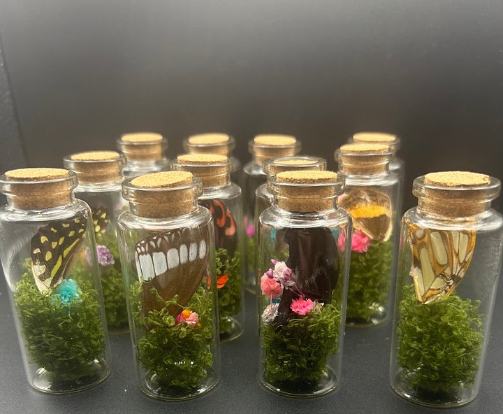 Butterfly Wing Vials product image (1)