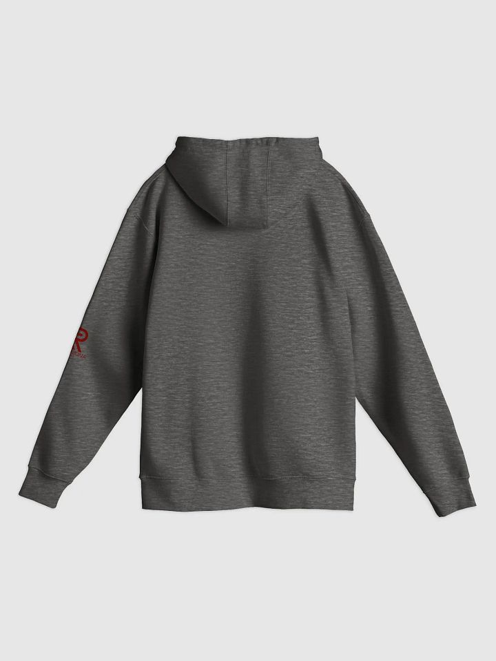 LIVE WITH PURPOSE HOODIE product image (14)