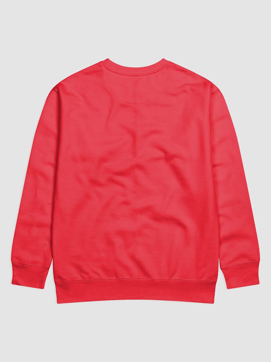 Somatica Institute Sweatshirt product image (4)