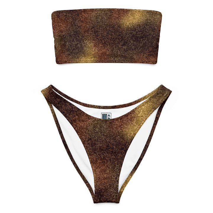 Fall Bandeau Top and Bottom Bikini product image (1)