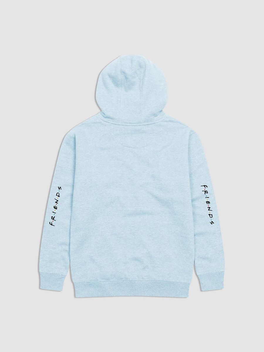 SUCKS to be FRIENDS | Premium Hoodie product image (5)