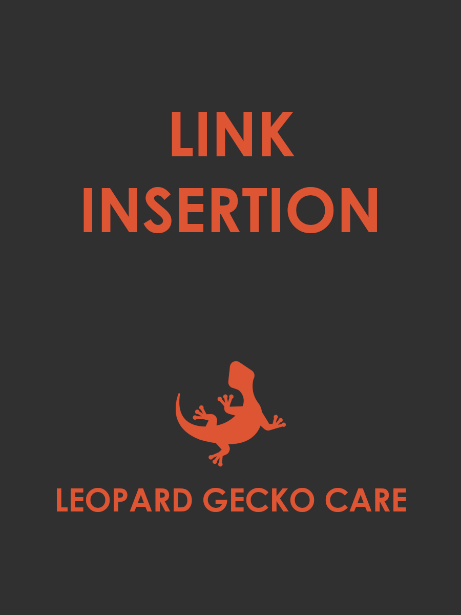 Link insertion in existing post product image (1)