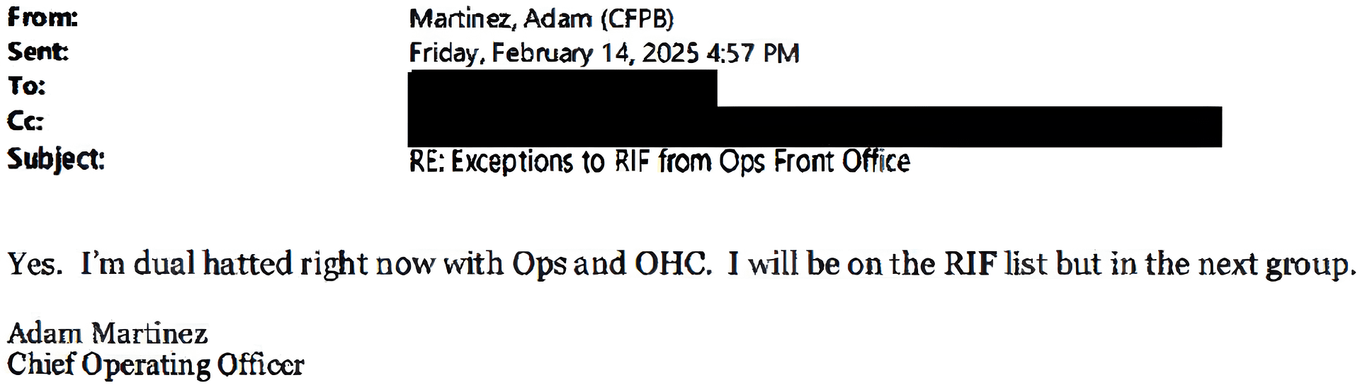 Adam Martinez's Dual Hat product image (2)