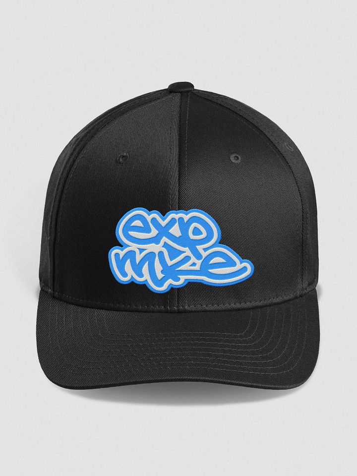 Fitted Hat - ExpMKE Tagged product image (1)