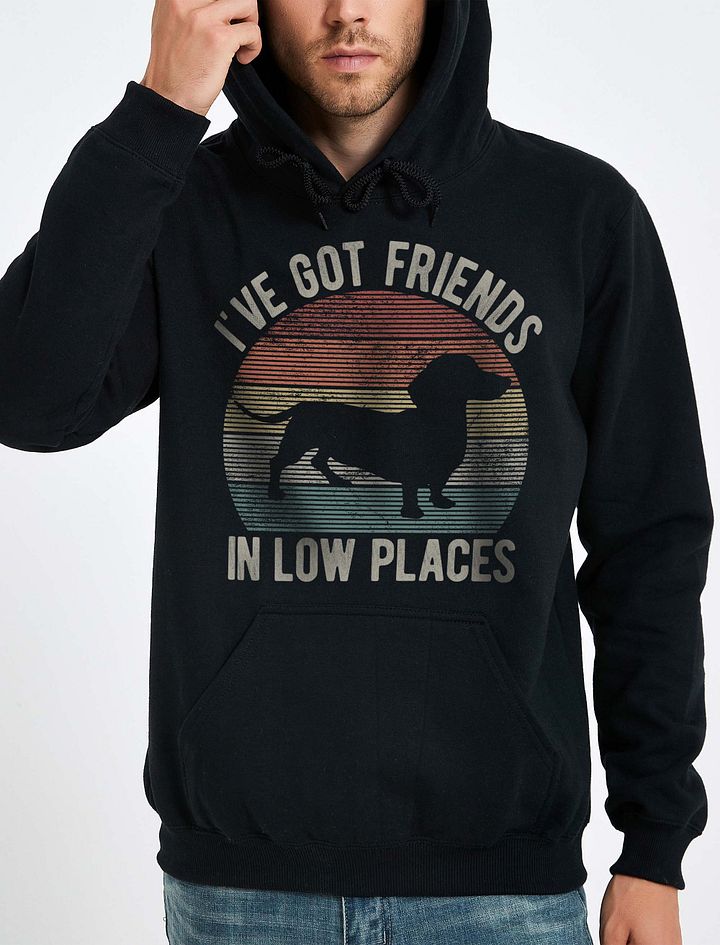 I've Got Friends in Low Places Dachshund Hooded Sweatshirt | Funny Hoodie for Doxie/Wiener Paw-rents product image (1)
