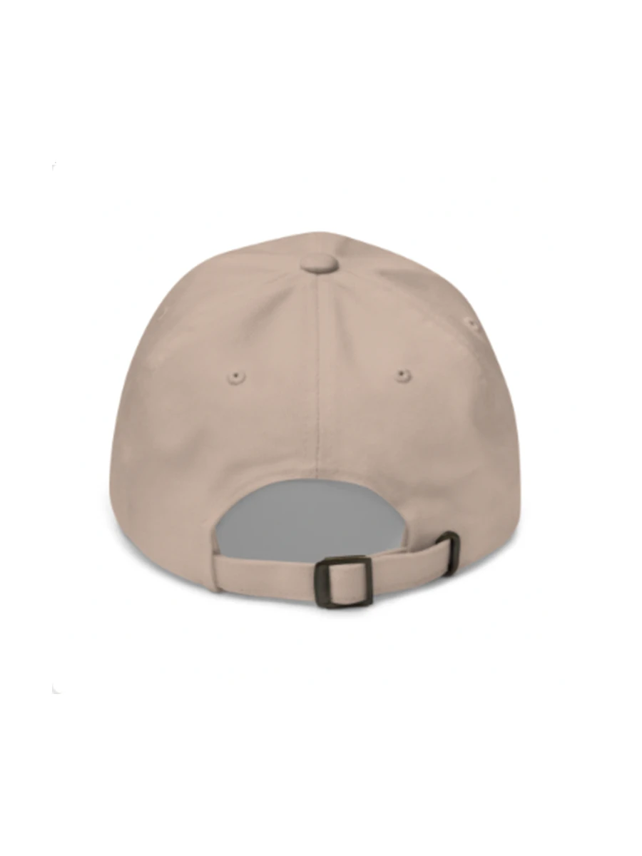 Strictly Joe's Hat product image (4)