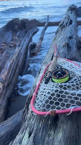 Opted outside this morning