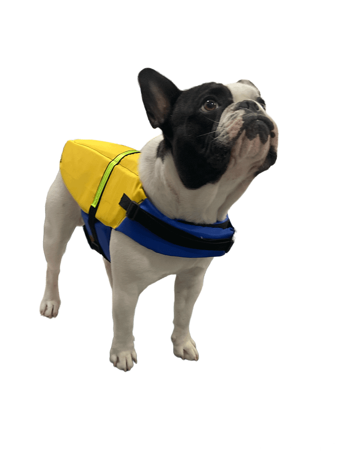 Colete Salva Vidas - Modelagem Pet PDF product image (2)