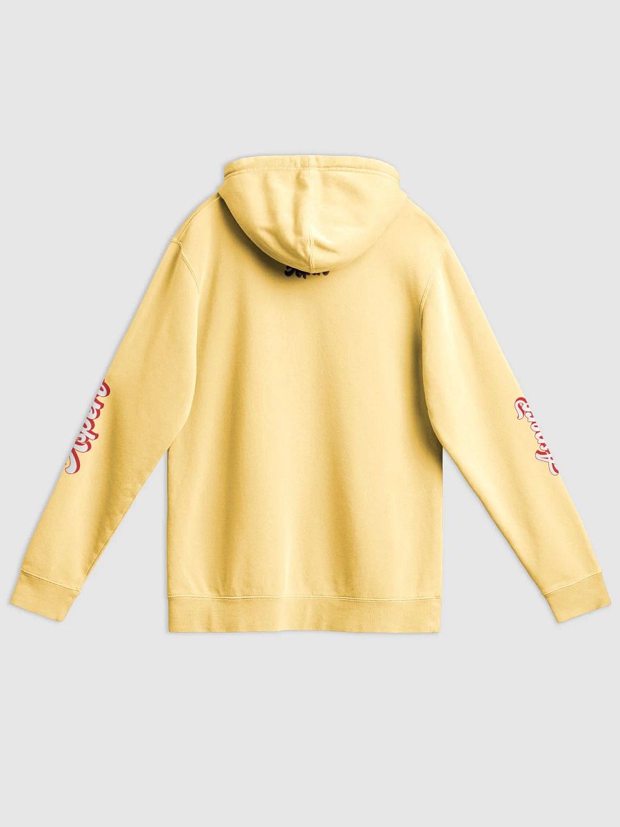 Chill Restricted Aspero Hoodie product image (4)