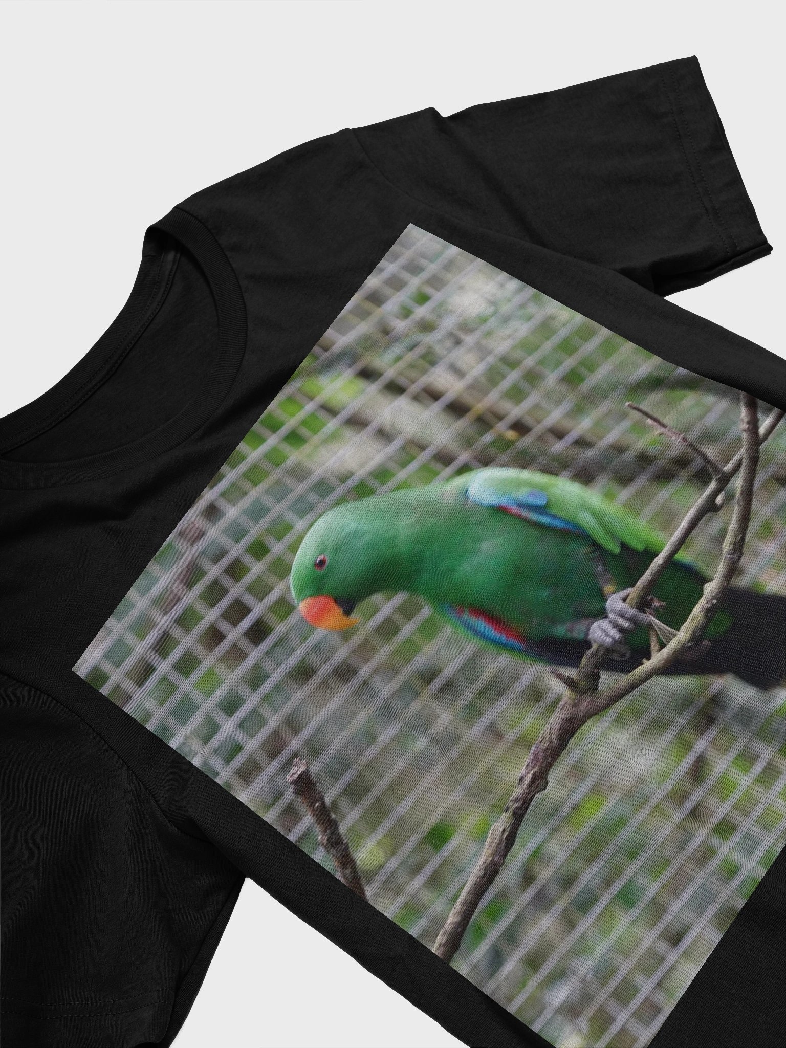 Vibrant Parrot Perch T-Shirt product image (3)