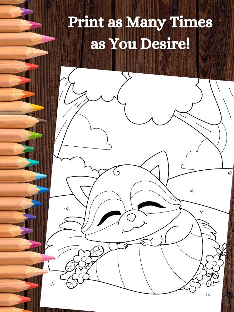 Raccoon Printable Coloring Pages for Kids product image (5)