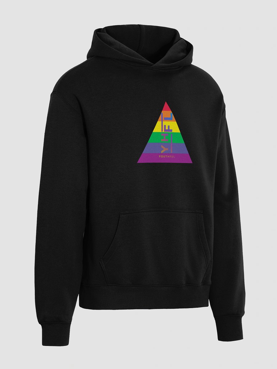 Rainbow Pride 'GAYMER' Hoodie product image (4)