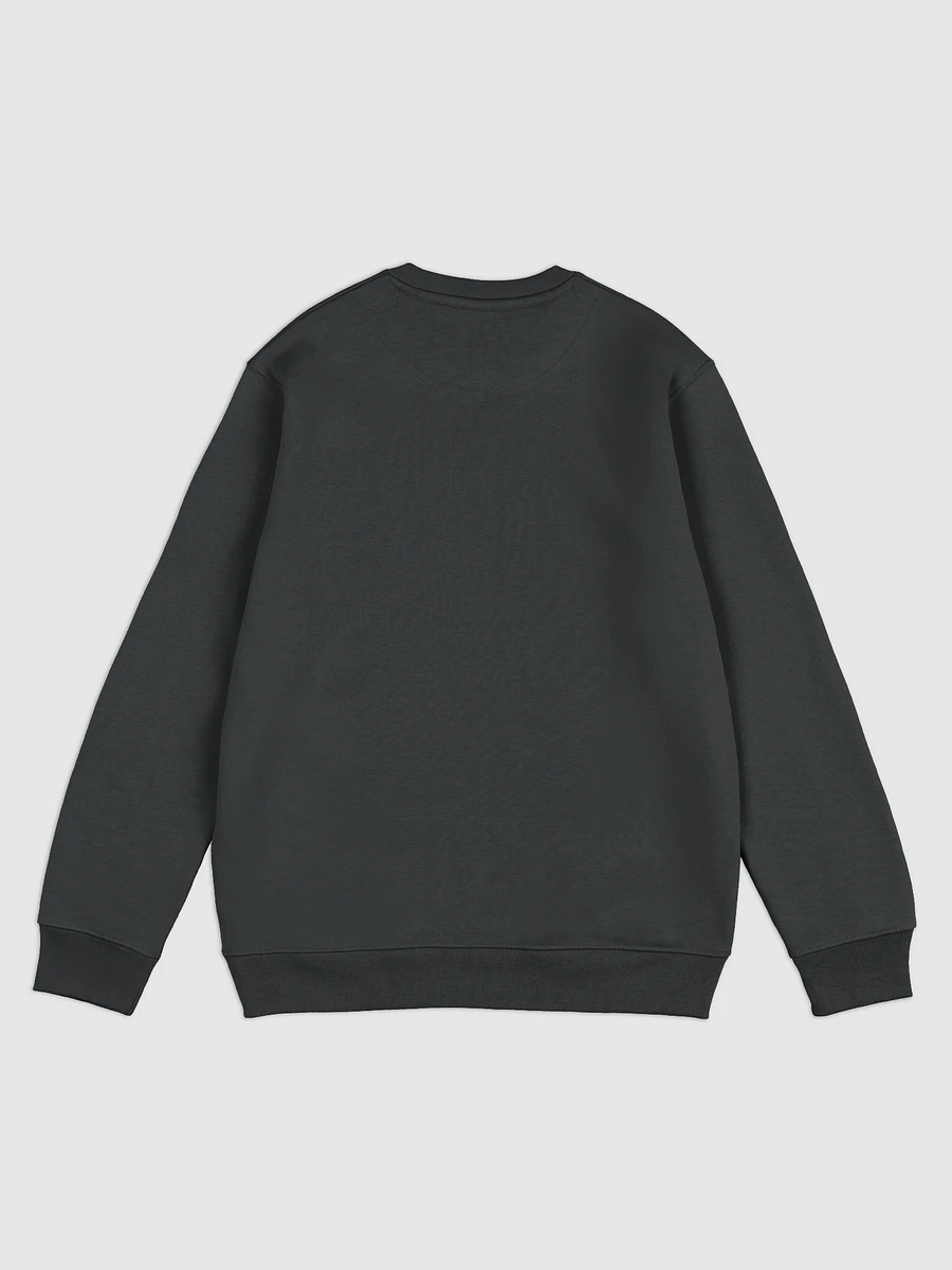 The Sweatshirt product image (3)