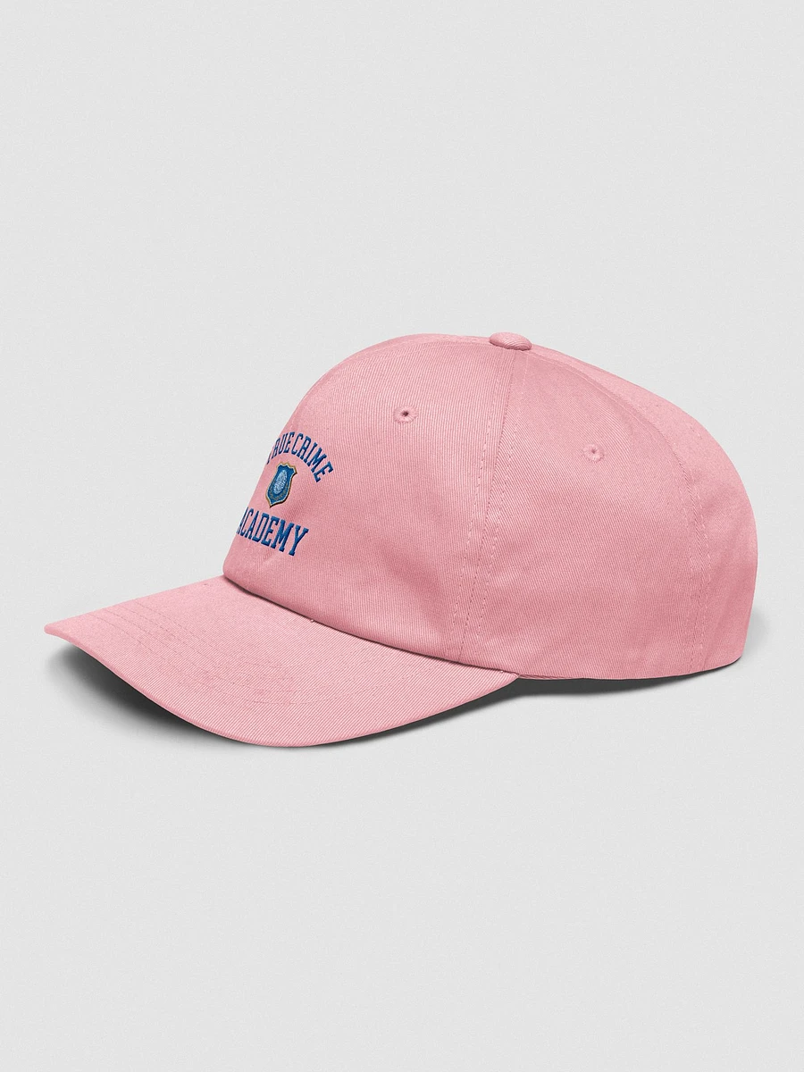 True Crime Academy Baseball Cap - Pink product image (3)