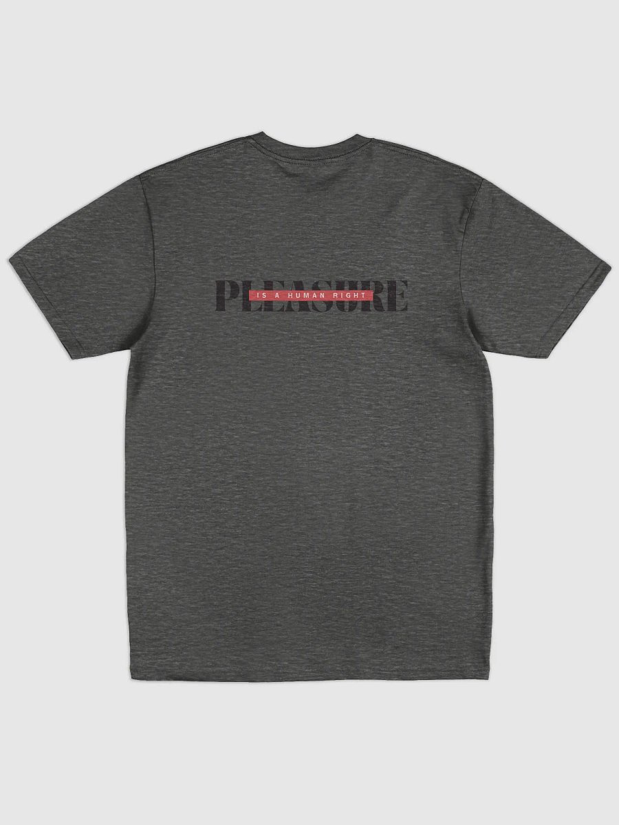 Pleasure if a Human Right T Shirt product image (7)