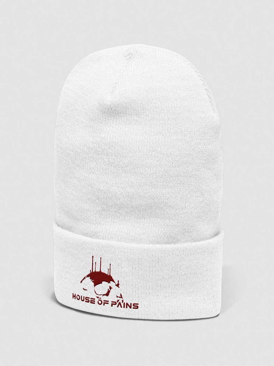 House of Pains Beanie product image (4)