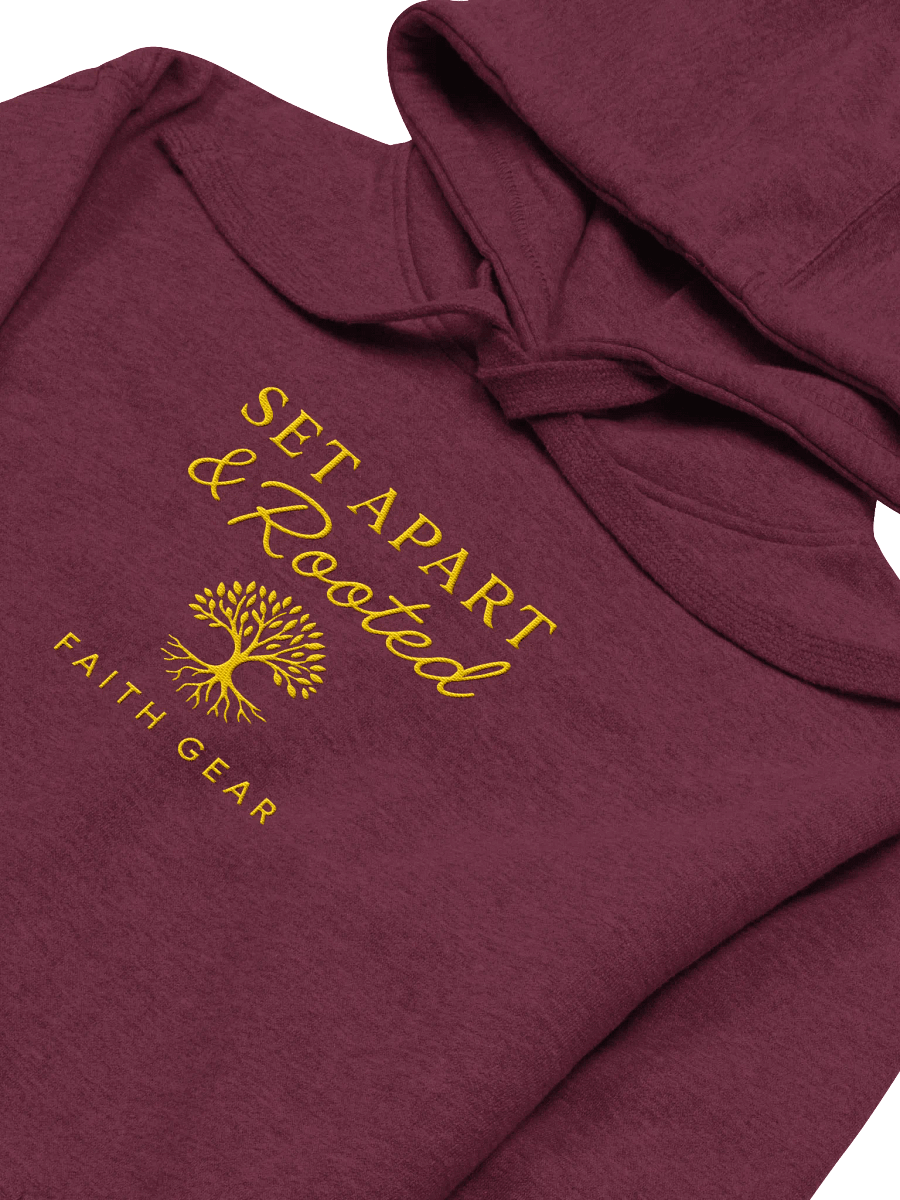 Set Apart & Rooted Embroidered Branded Hoodie (Dark Colors) product image (9)