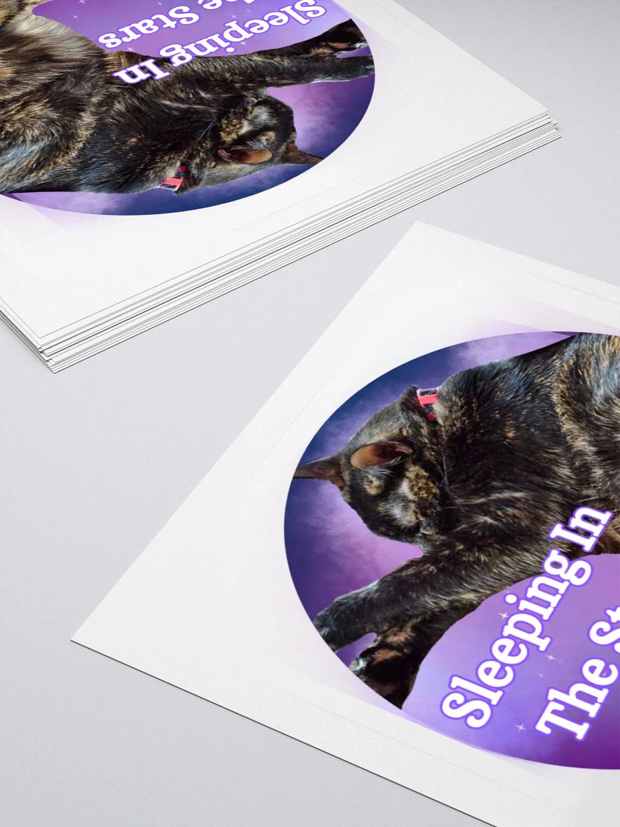 Sleeping In the Stars Obi Sticker product image (12)