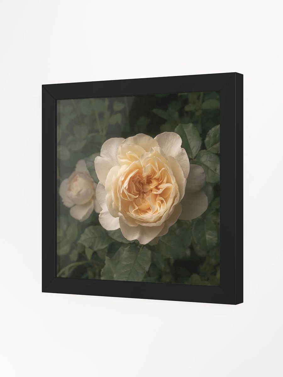 Favorite Rose product image (3)