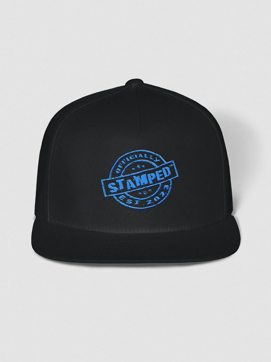 Blue Logo FLAT BRIM HAT product image (1)