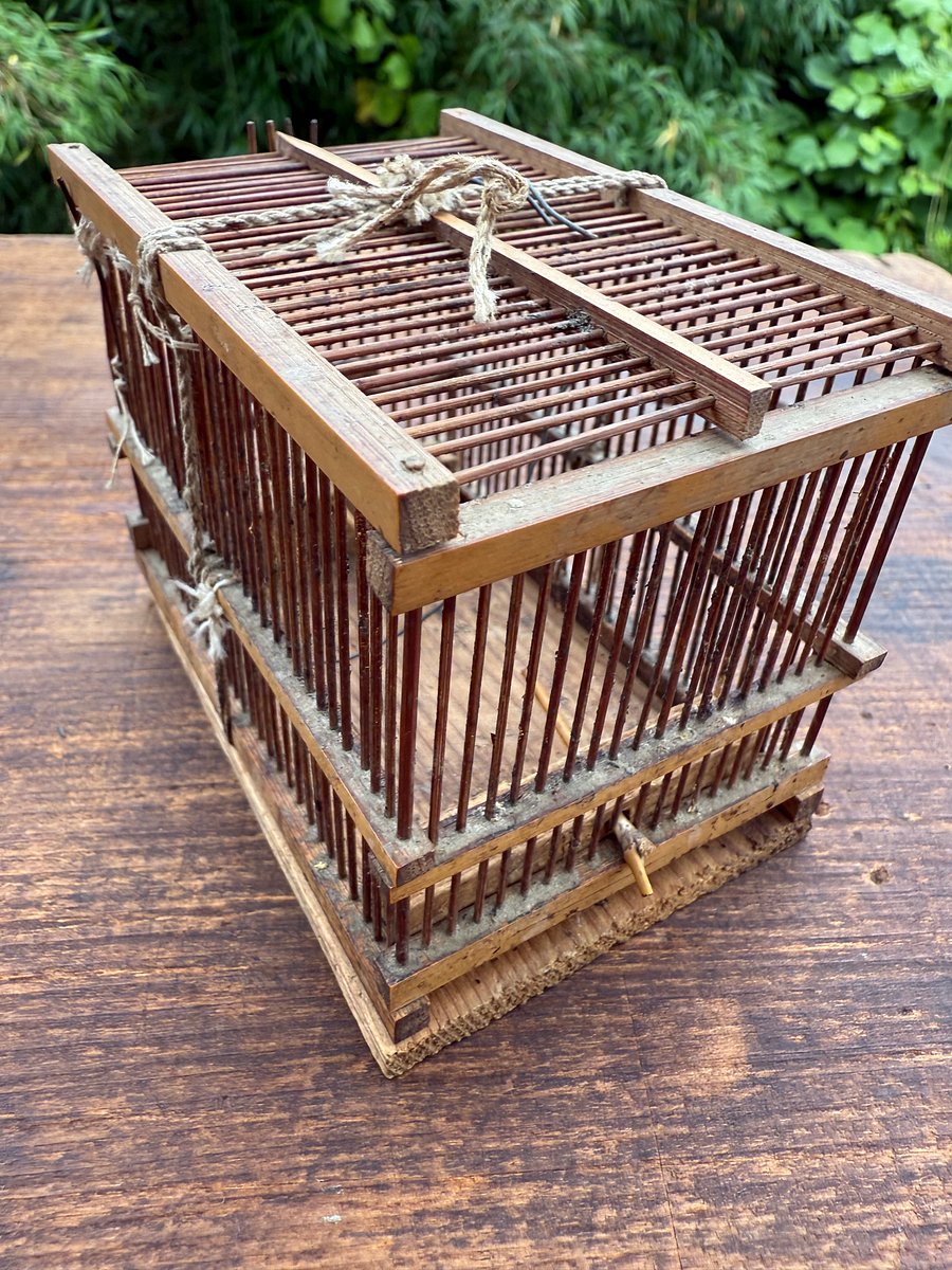 🎎 Antique Japanese Mushi Kago Insect Cage – Handcrafted Bamboo Folk Art – Japan Antique Roadshow product image (5)