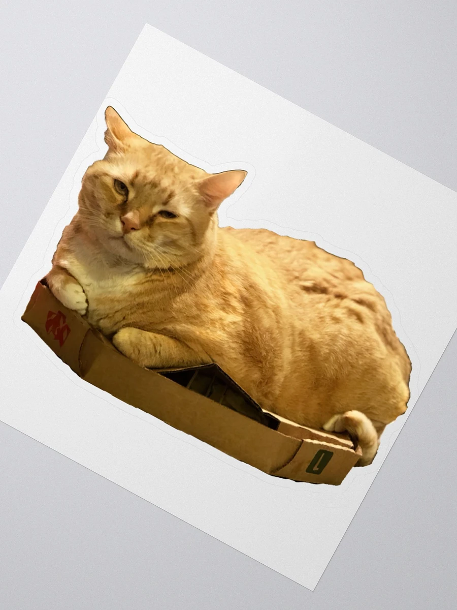 Colby in a box product image (2)