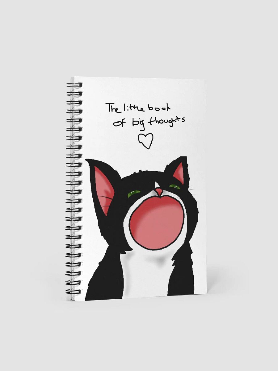 The Little Book of Big Thoughts! product image (4)