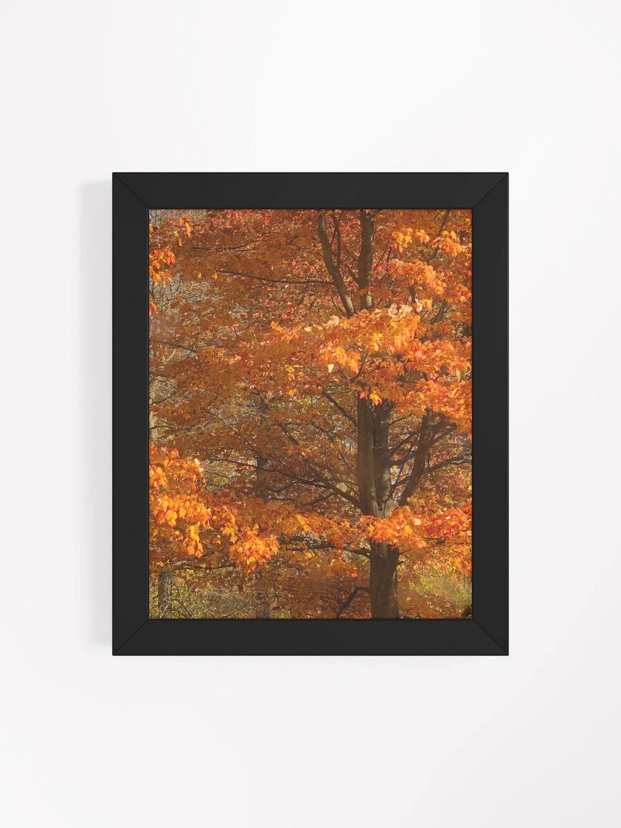 Orange Fall Leaves High Quality Matte Poster product image (4)