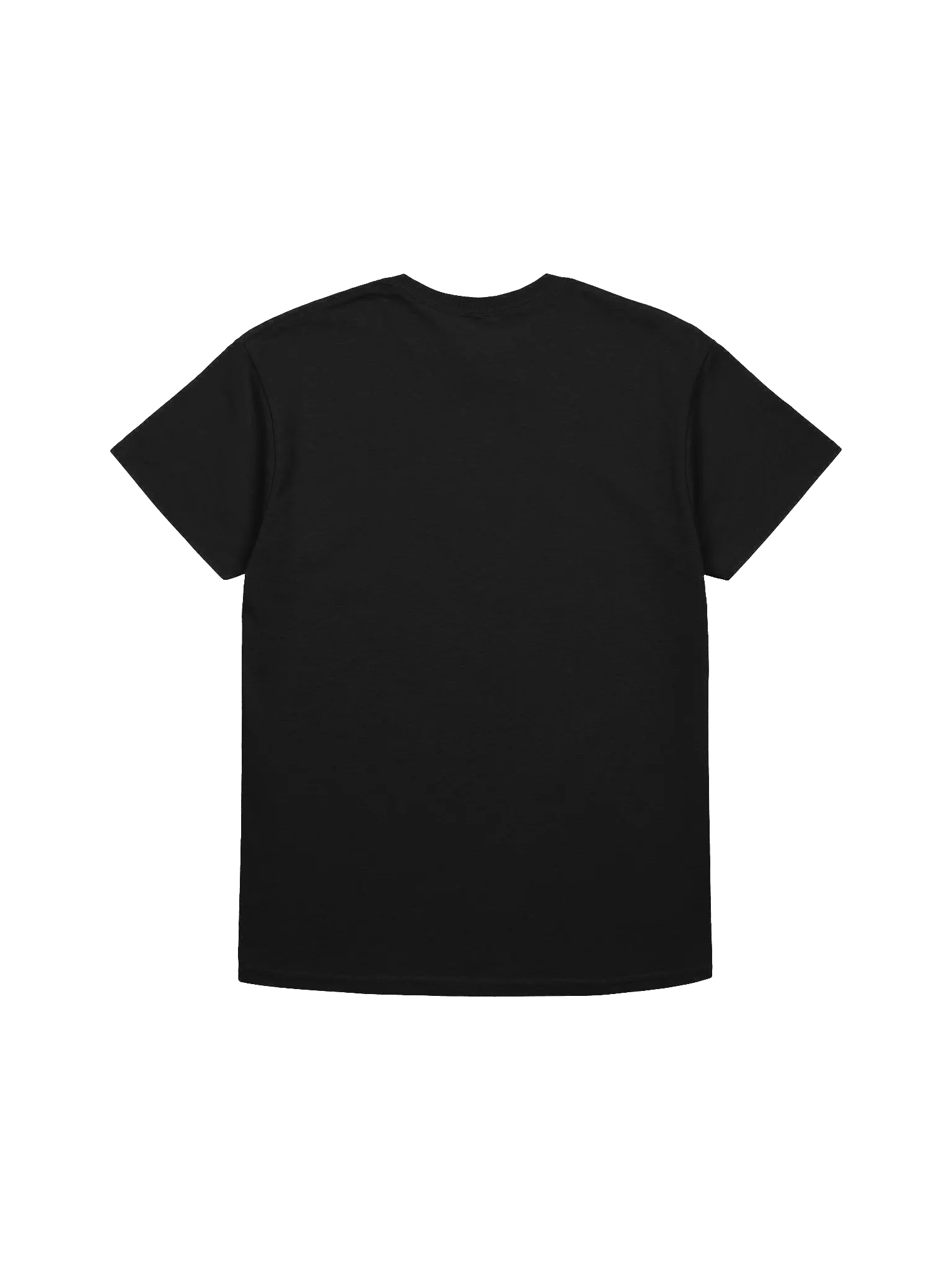 The Dead Flyz T-Shirt product image (8)