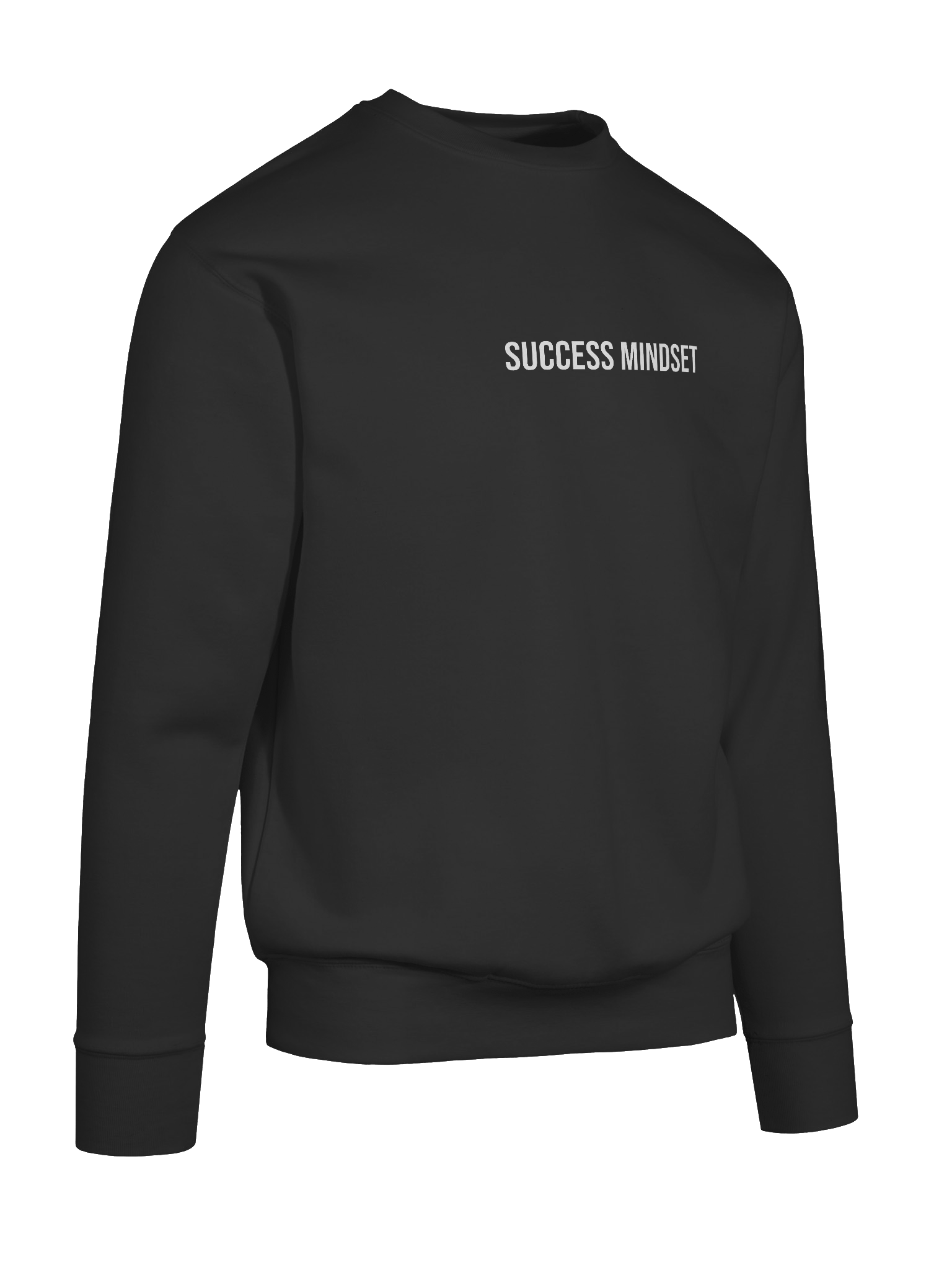 Success Mindset Sweatshirt product image (55)