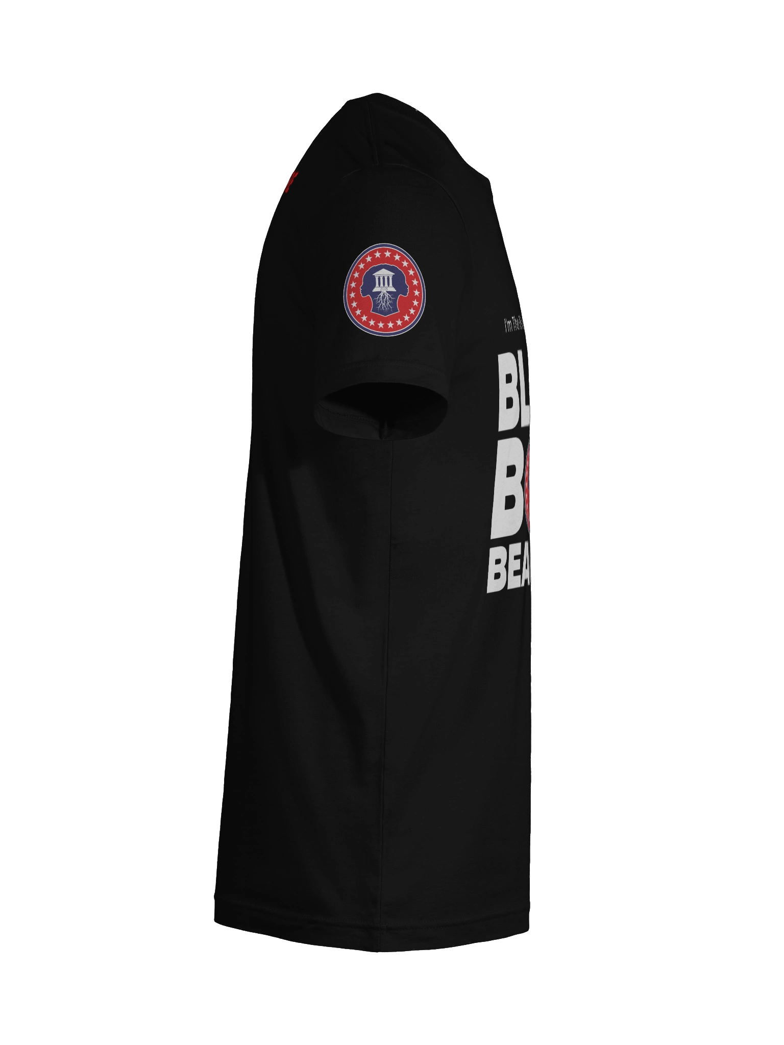 PA - Mother of Civilization T-Shirt product image (12)