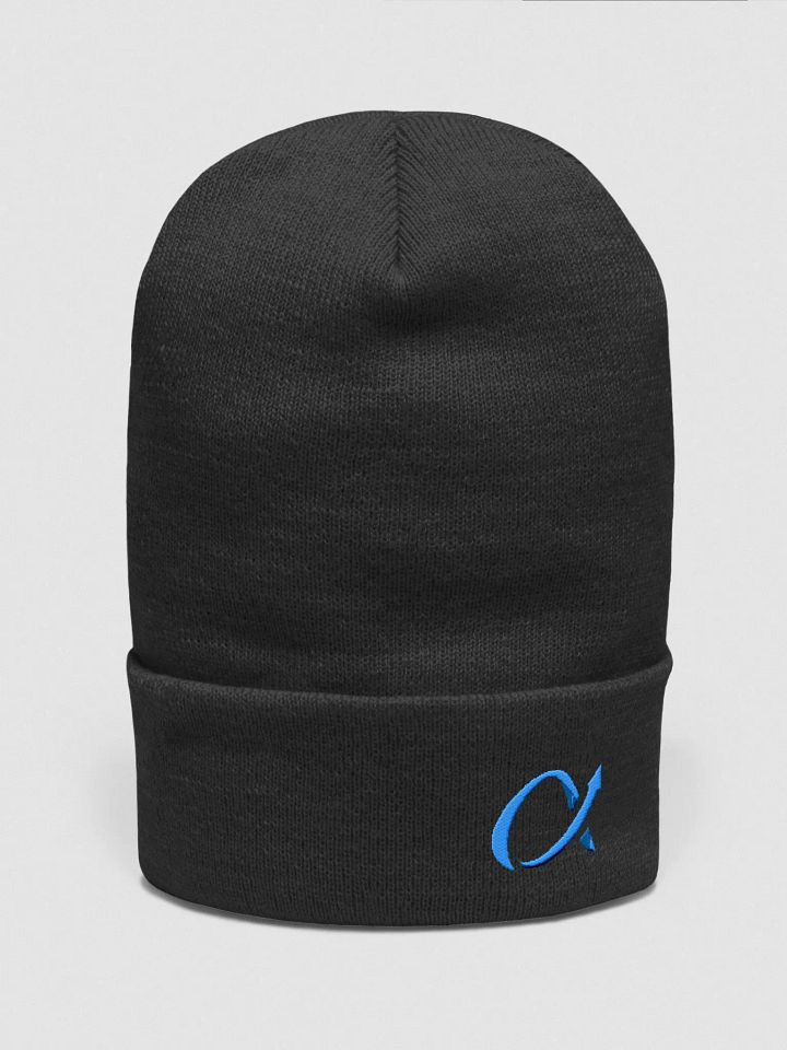 Alphatrends Logo Beanie product image (2)