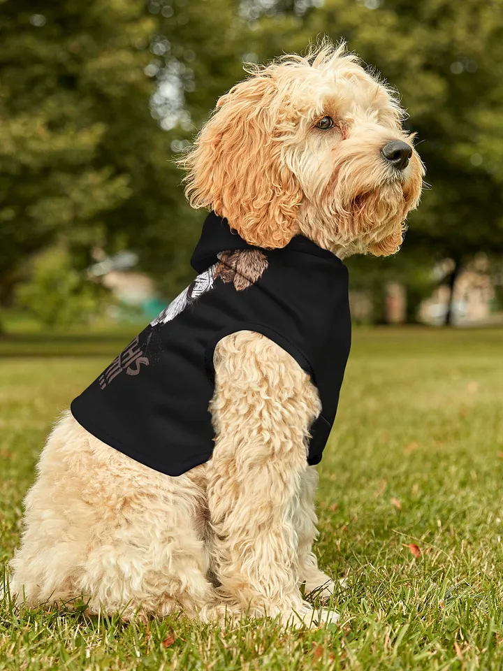 PAPASITOS PAWS OWN PARTY HOODIE product image (1)
