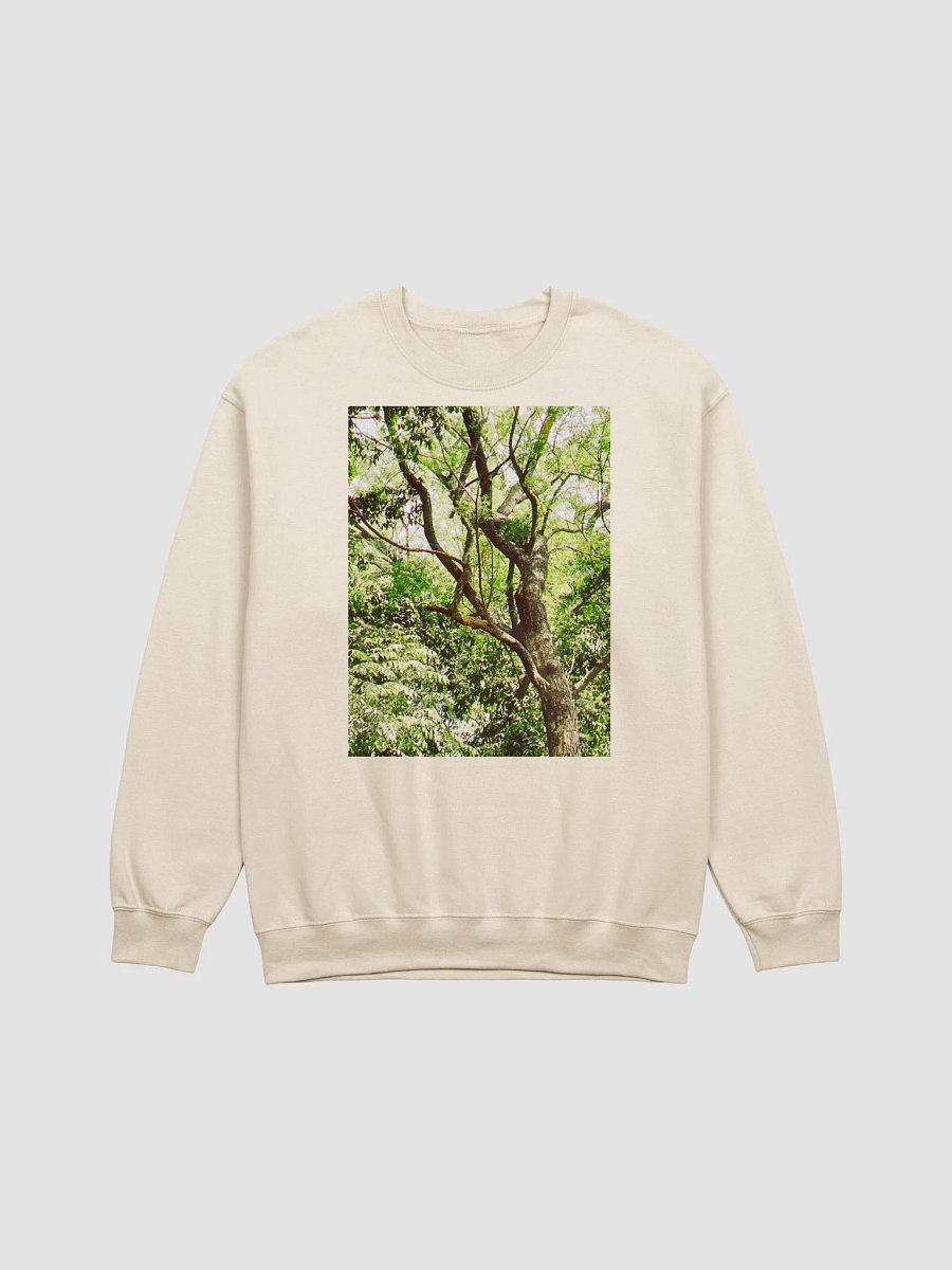 Earth tone DIVINE MUSIC sweatshirt product image (1)