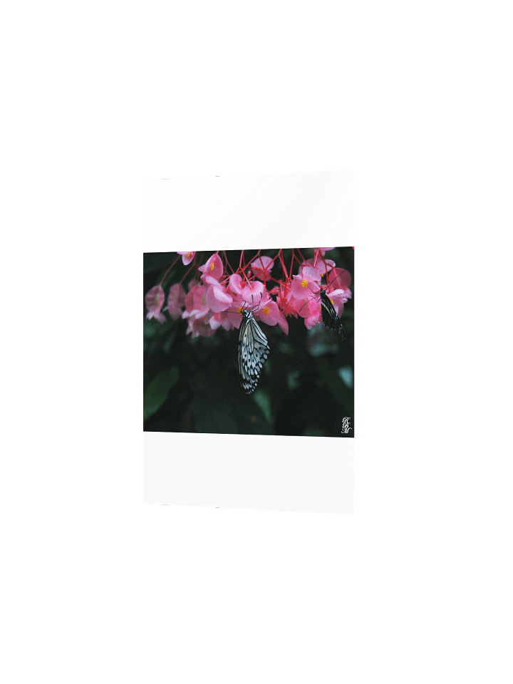Butterfly Hanging from Flowers product image (9)