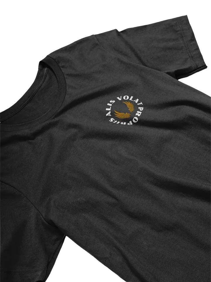 ALIS VOLAT PROPRIIS T-SHIRT product image (2)