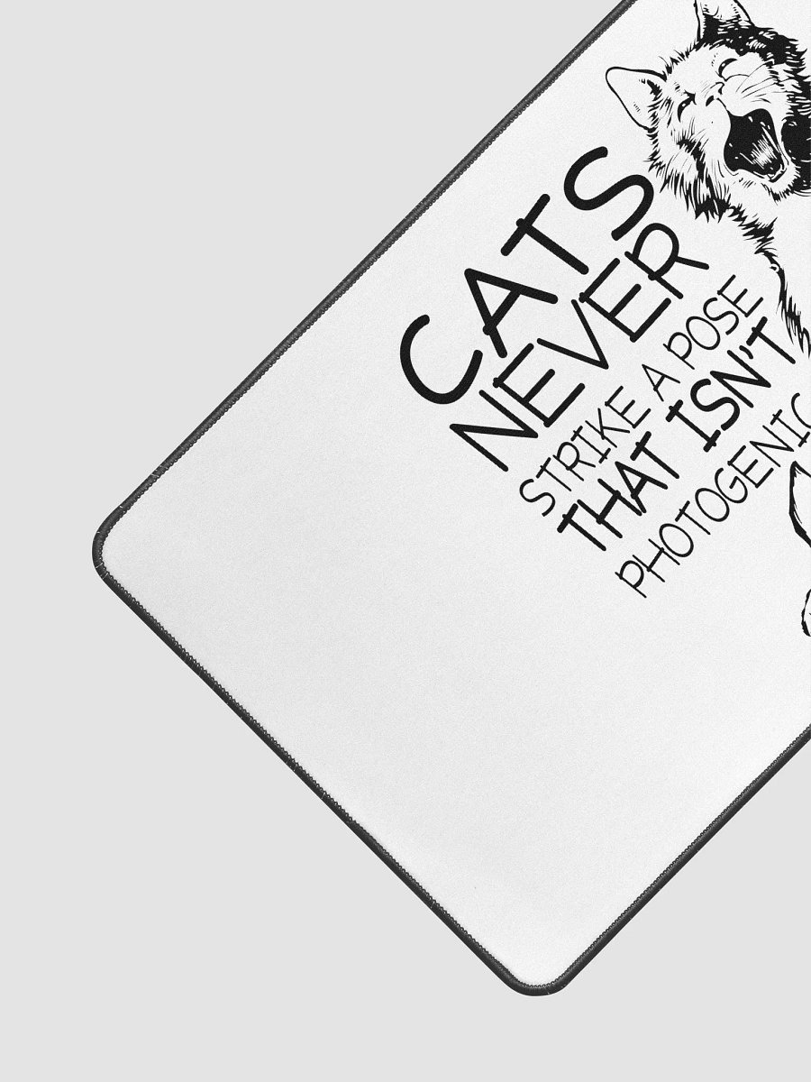 Photogenic Paws Desk Mat product image (3)