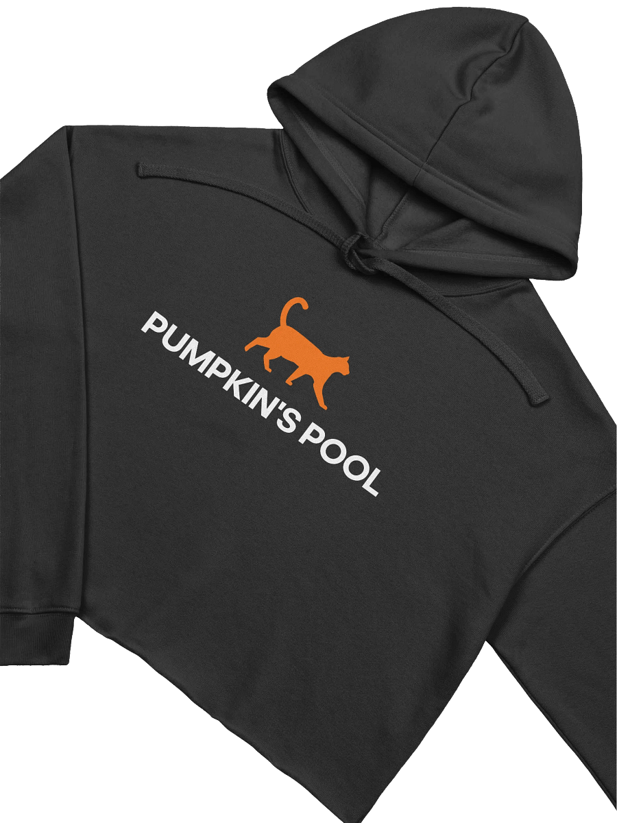 Pumpkin's Crop Hoodie product image (3)