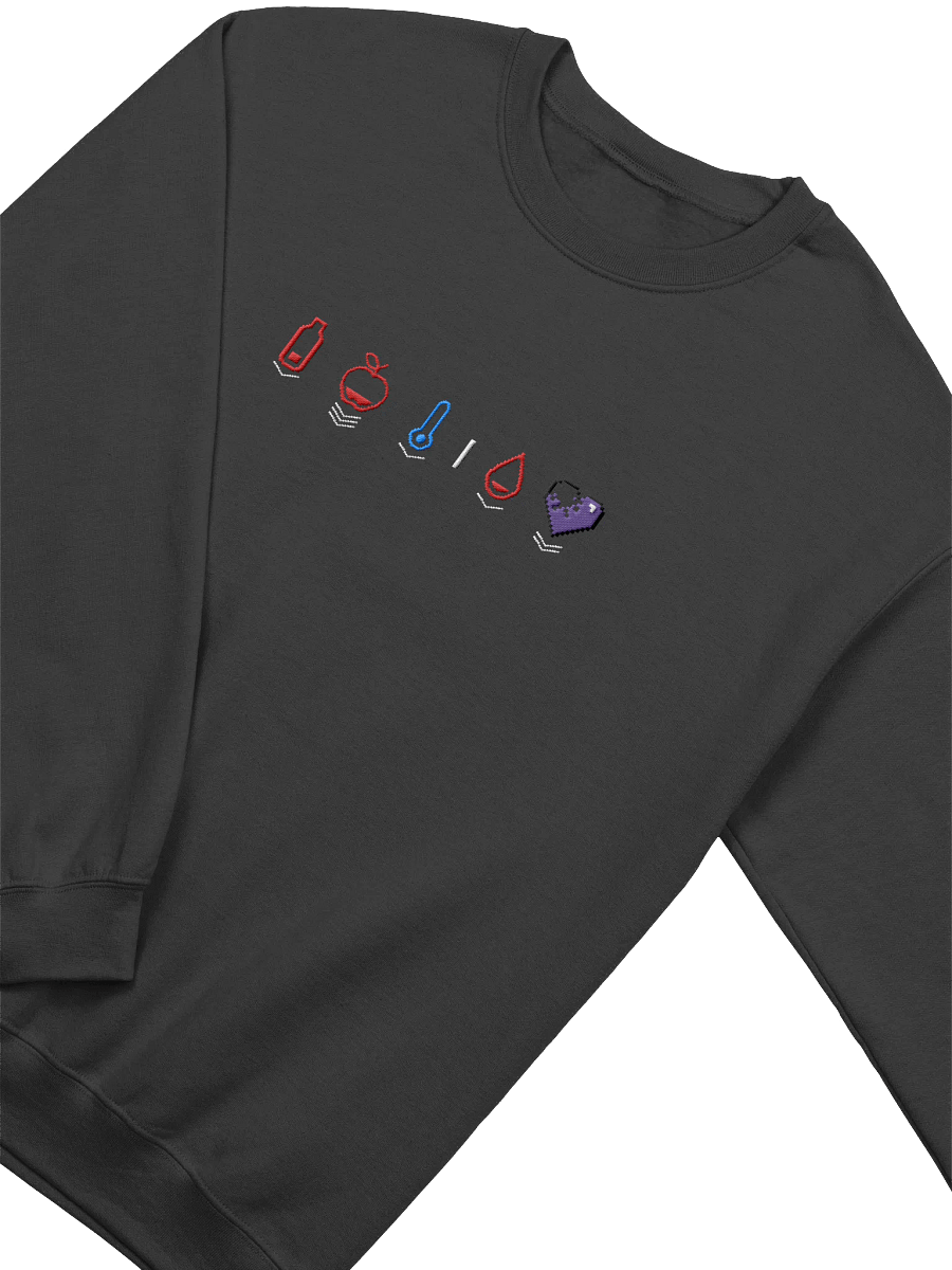 HollyRex X DayZ Embroidered Crewneck Sweatshirt product image (29)