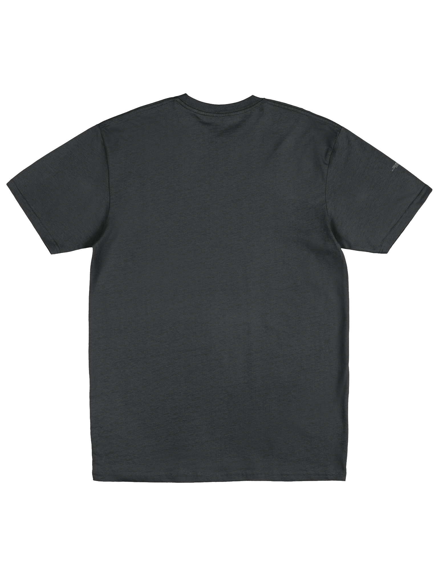 Just Plain Mighty - Oversized Tee - Black product image (2)
